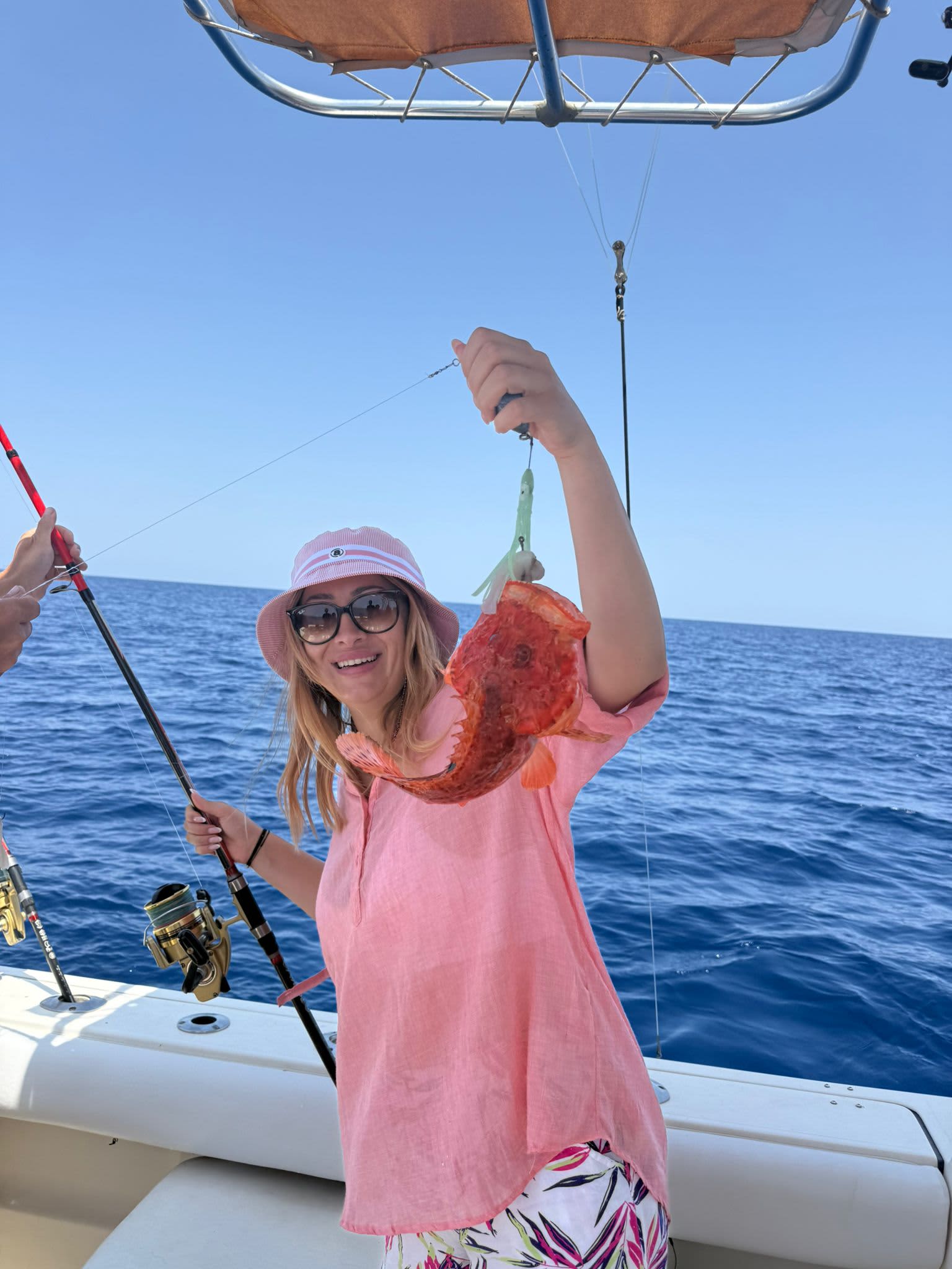 Cover of activity #16704