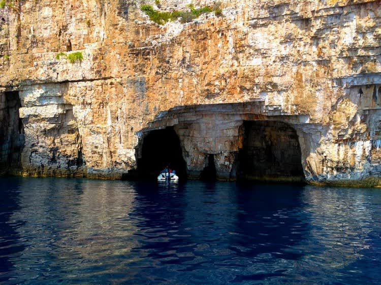 Cover of activity #6986