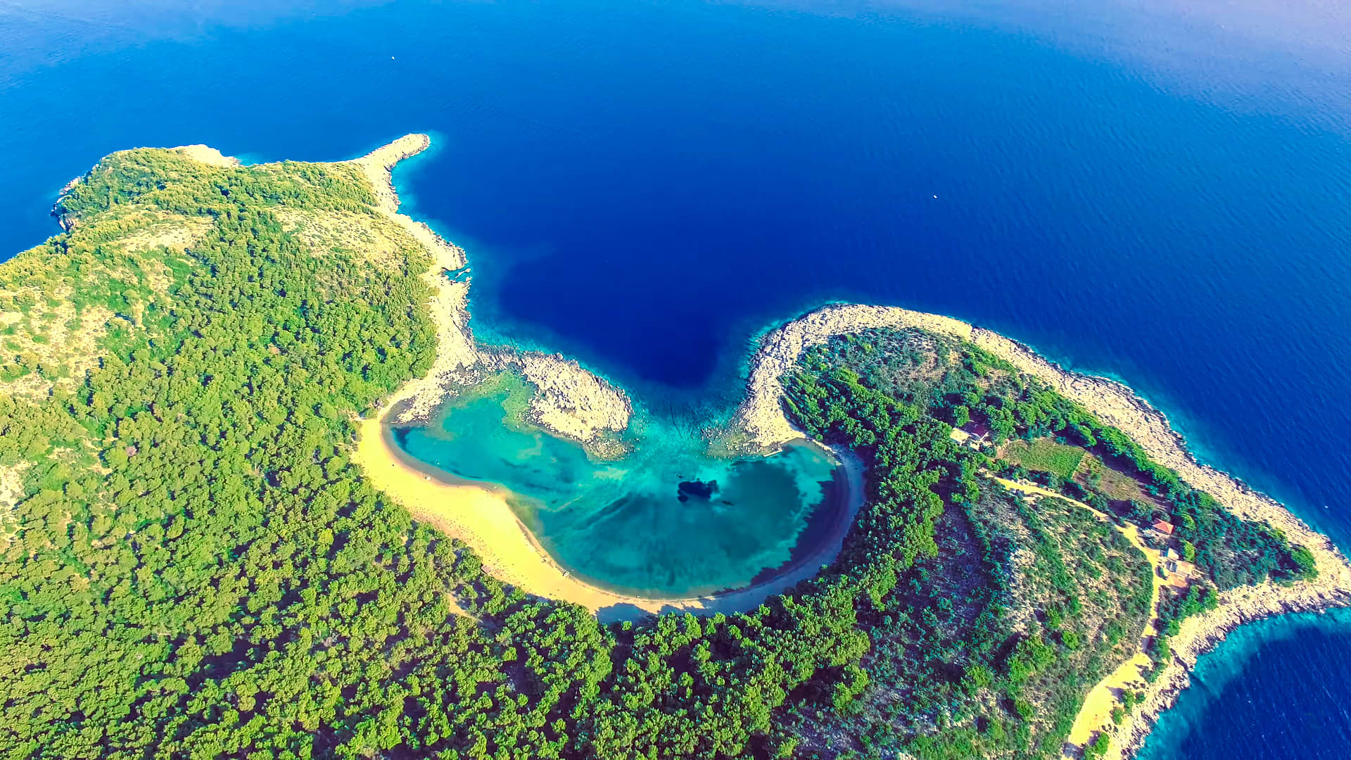 Cover of activity #19563