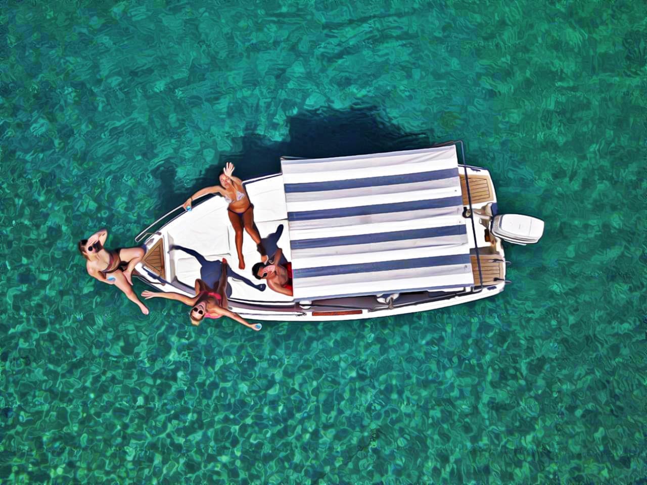 Cover of activity #8146