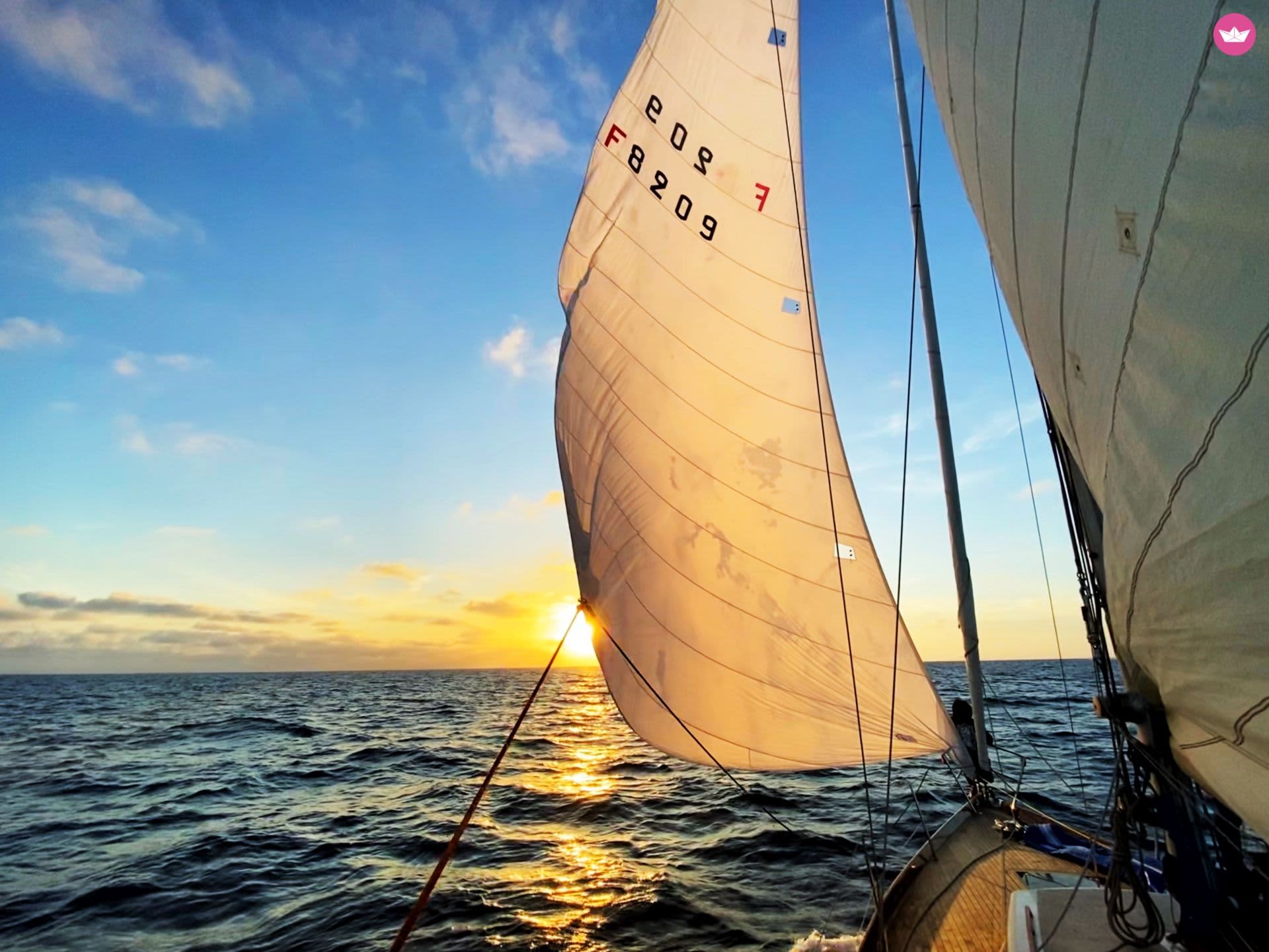 Cover of activity #6269