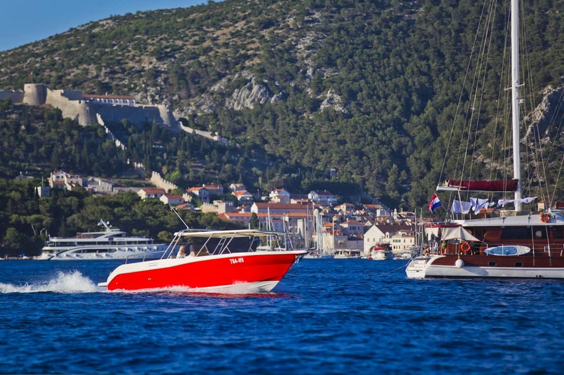 Cover of activity #8181