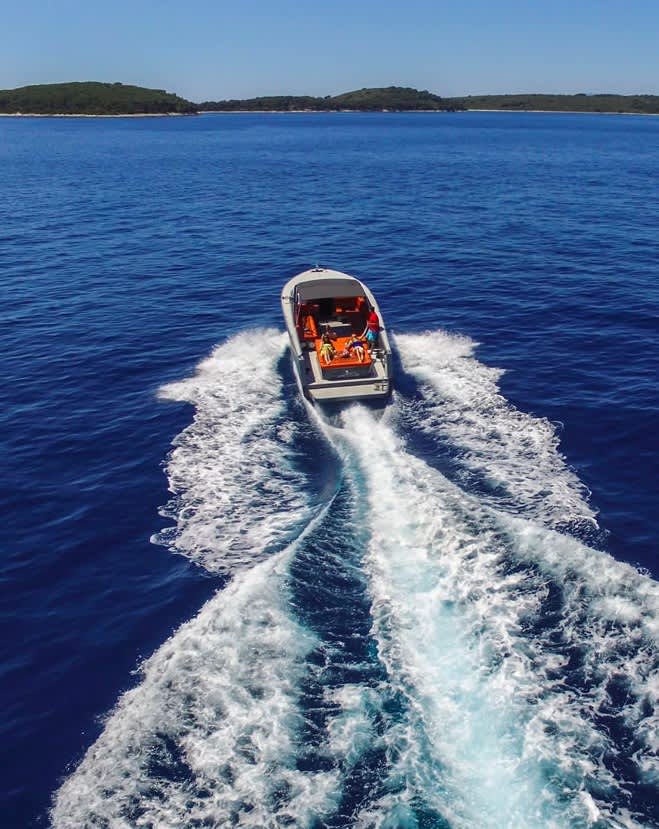 Cover of activity #8190