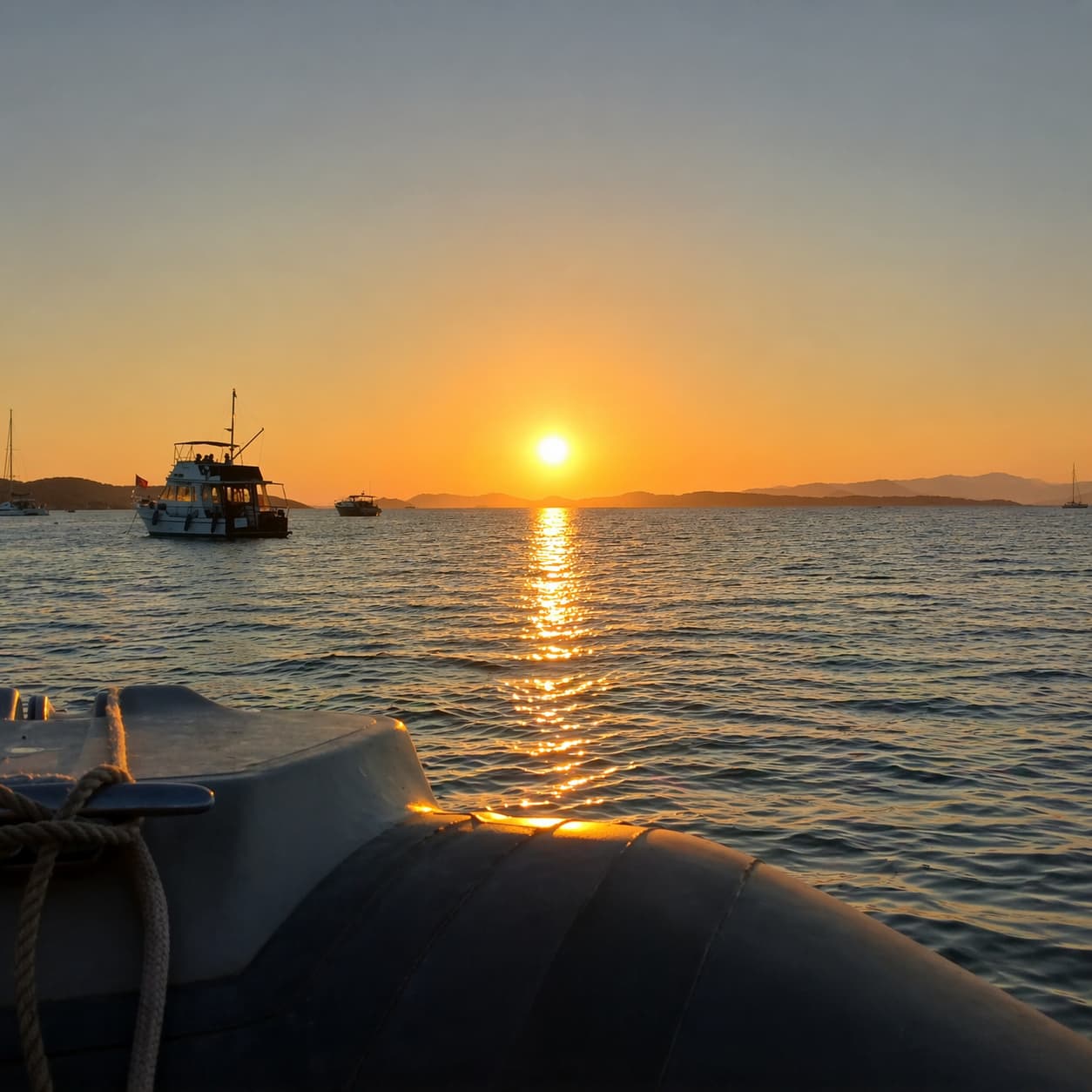 Cover of activity #10861