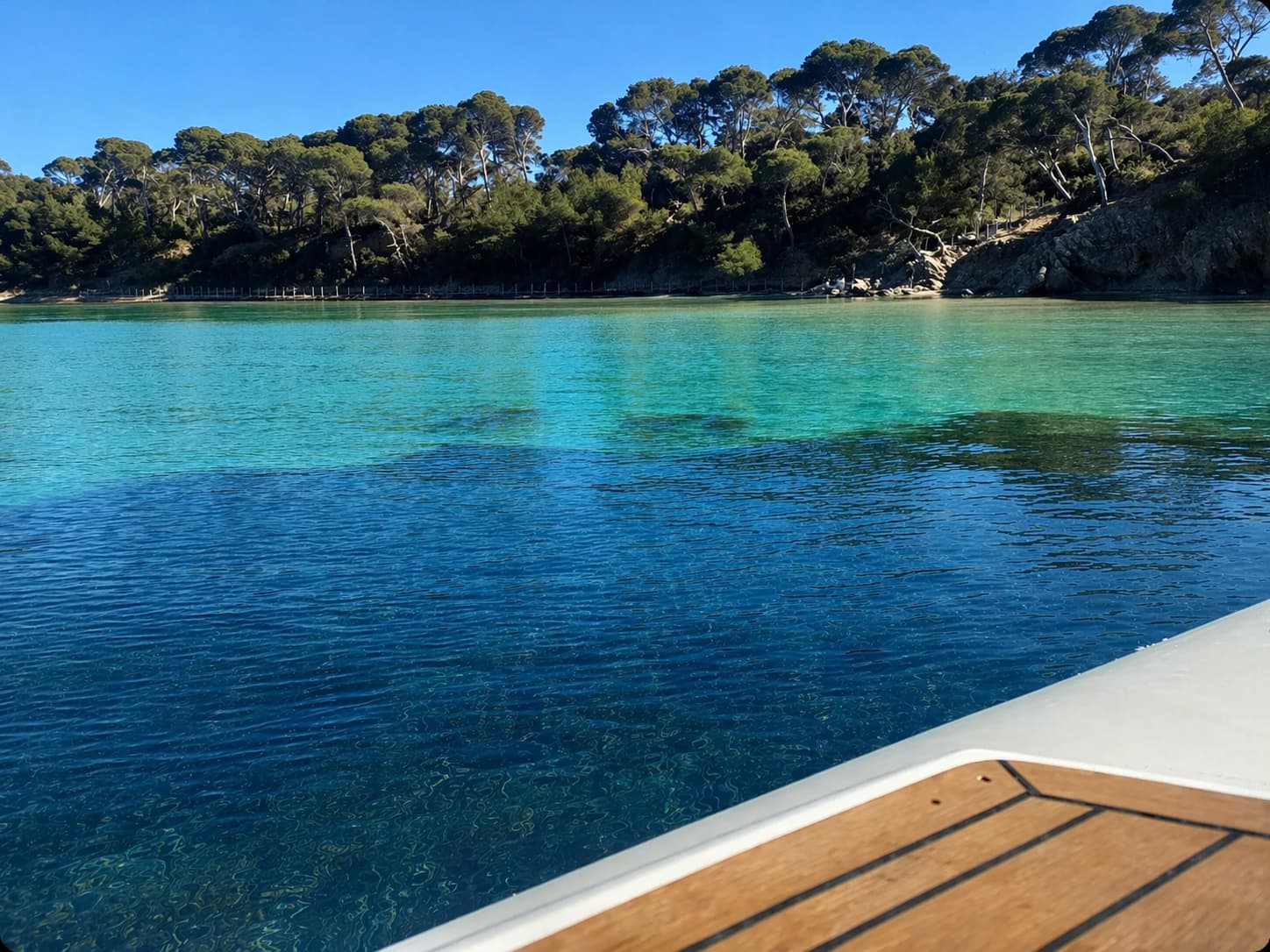 Cover of activity #10864