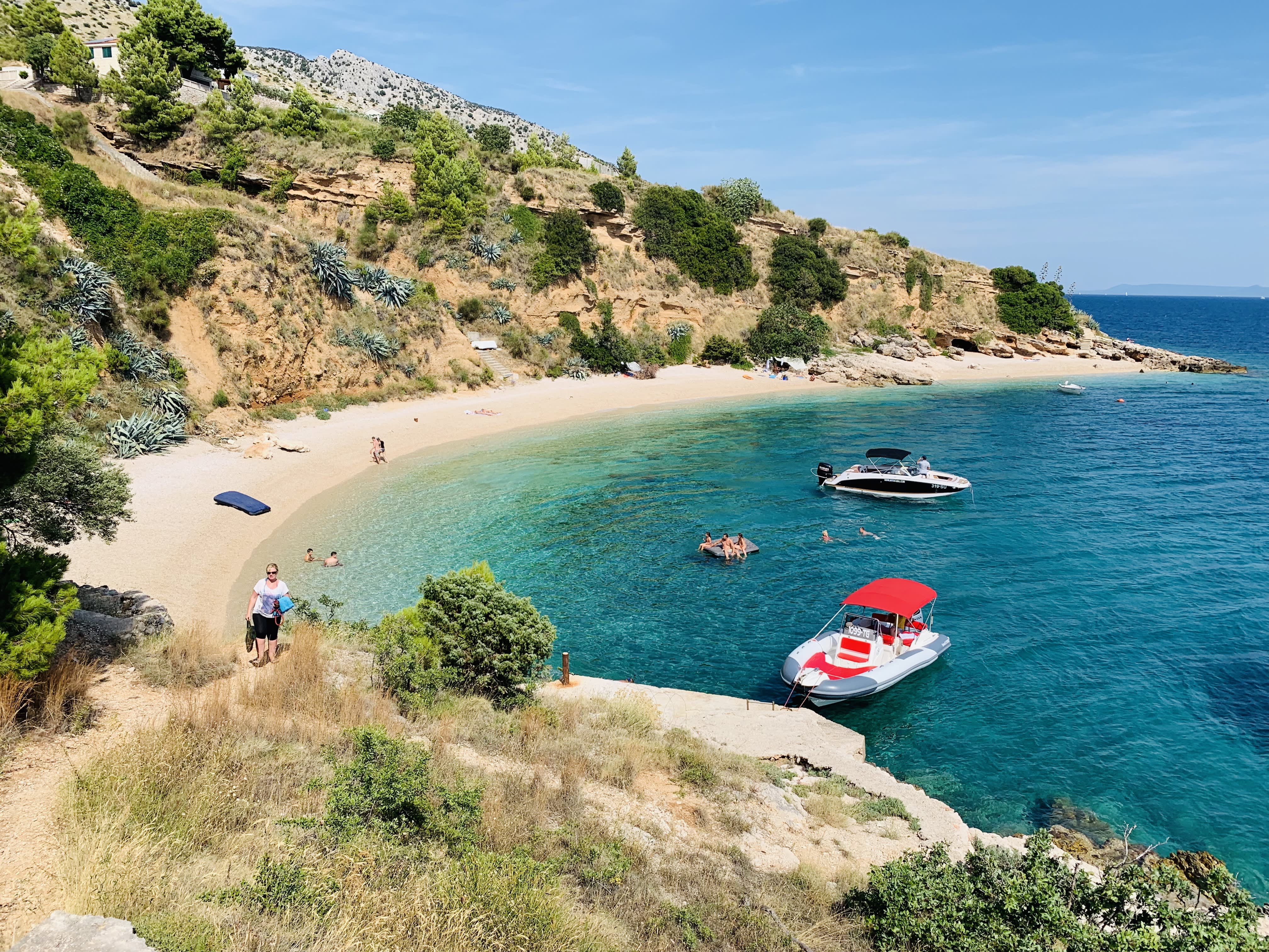 Cover of activity #7711