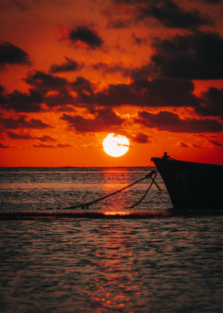 Cover of activity #16082