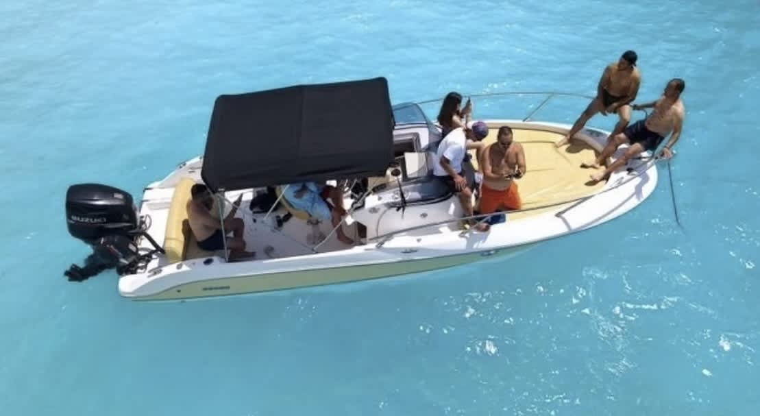 Cover of activity #18206