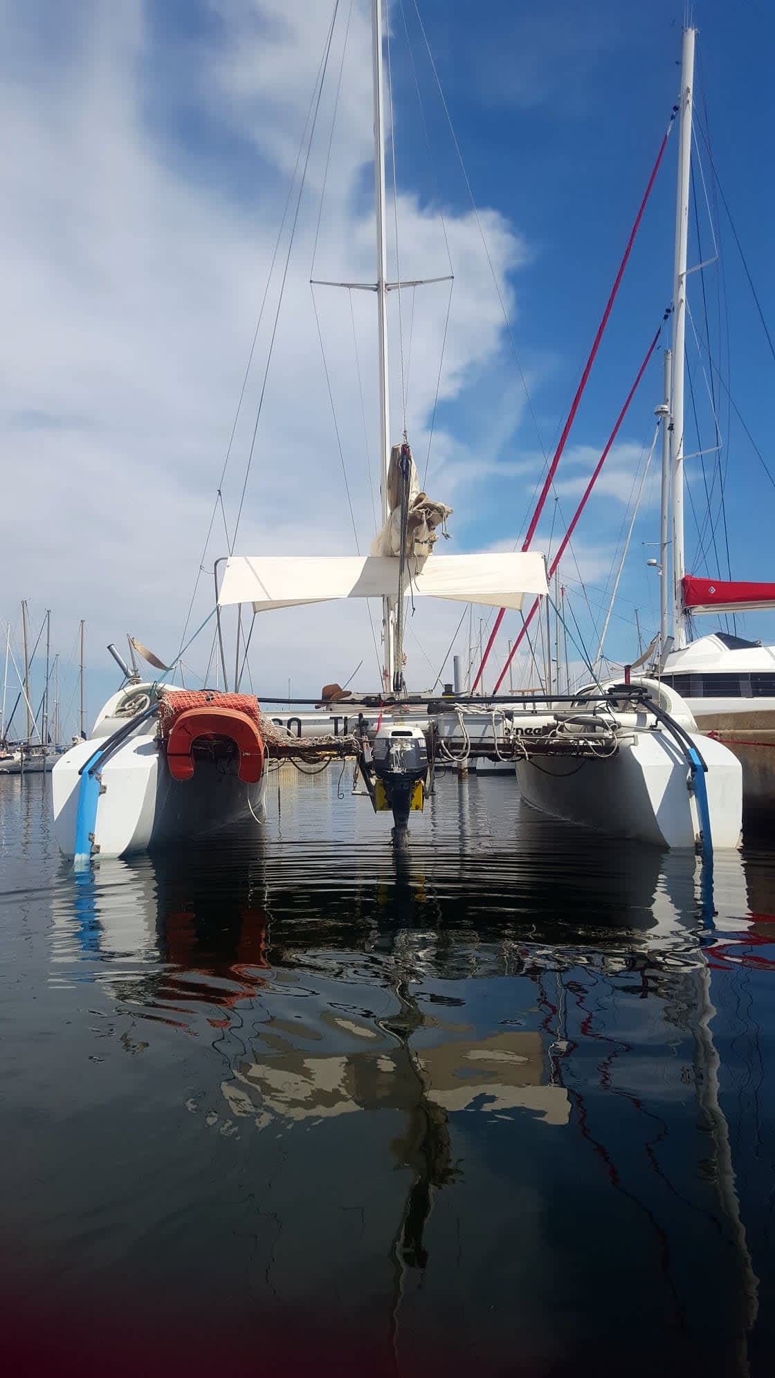 Cover of activity #21728