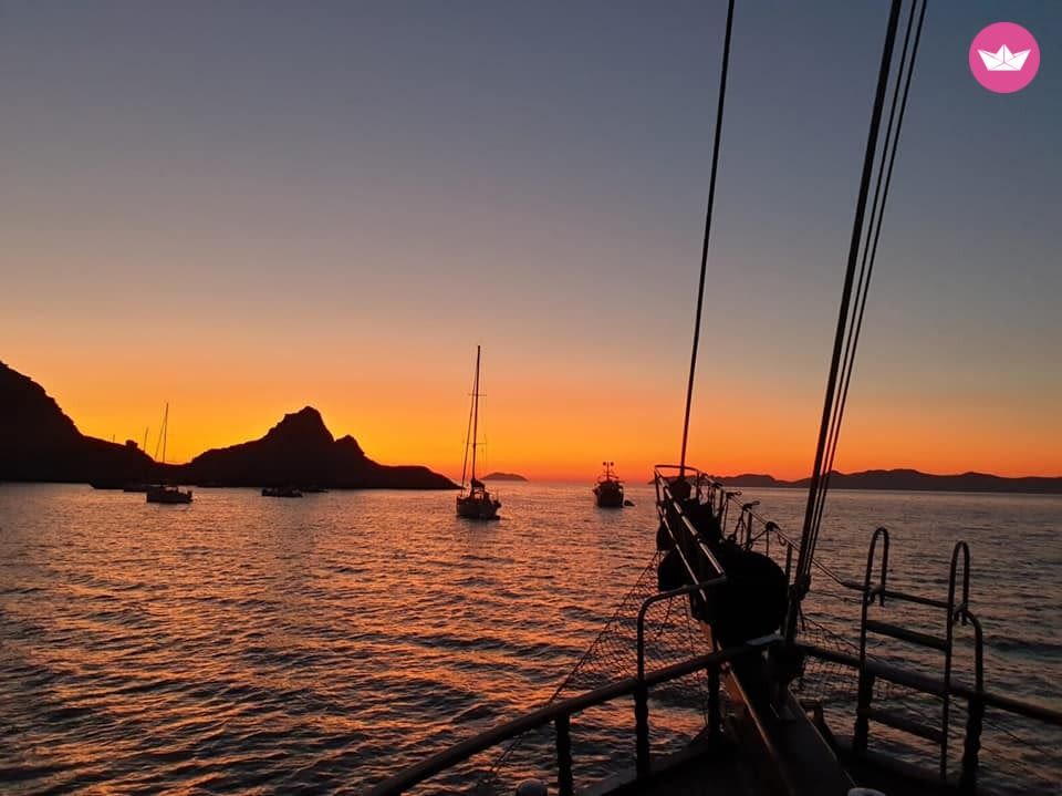 Cover of activity #16903