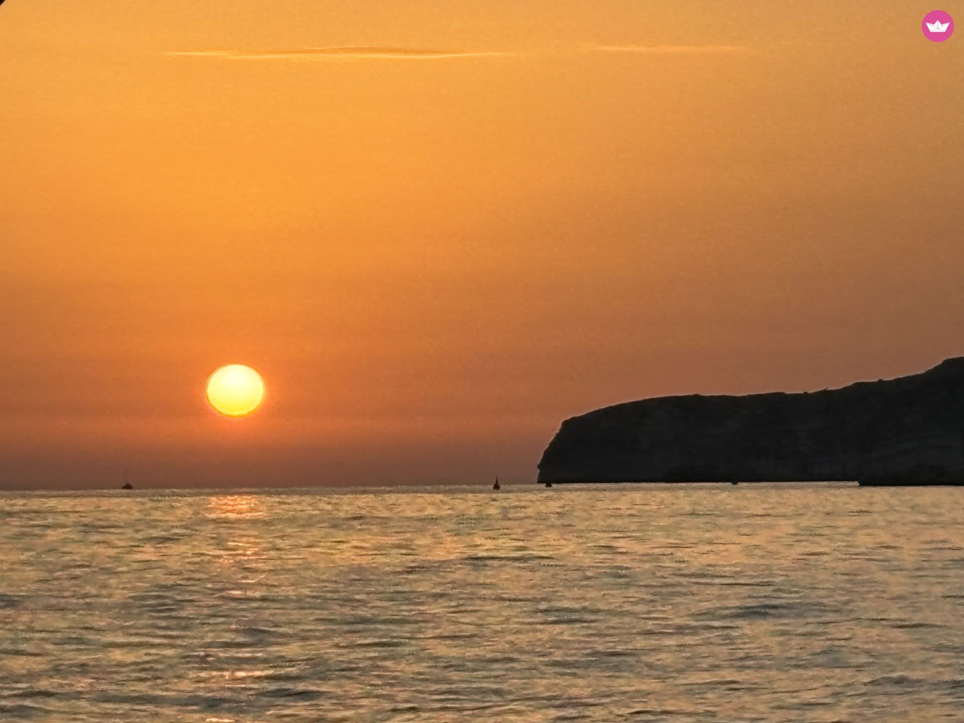 Cover of activity #1134