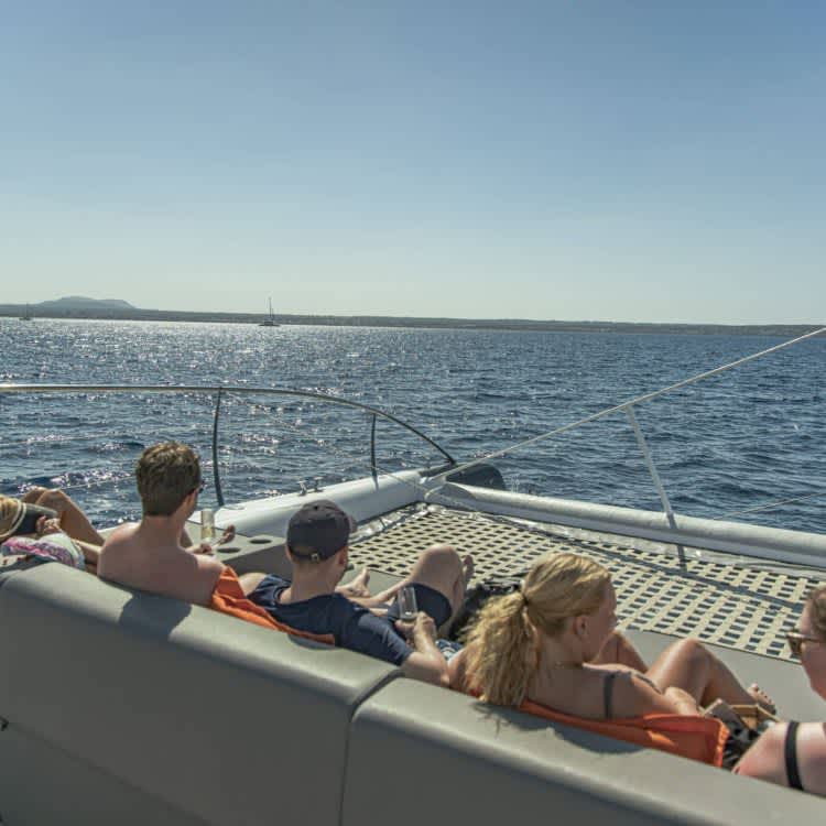 Cover of activity #6677