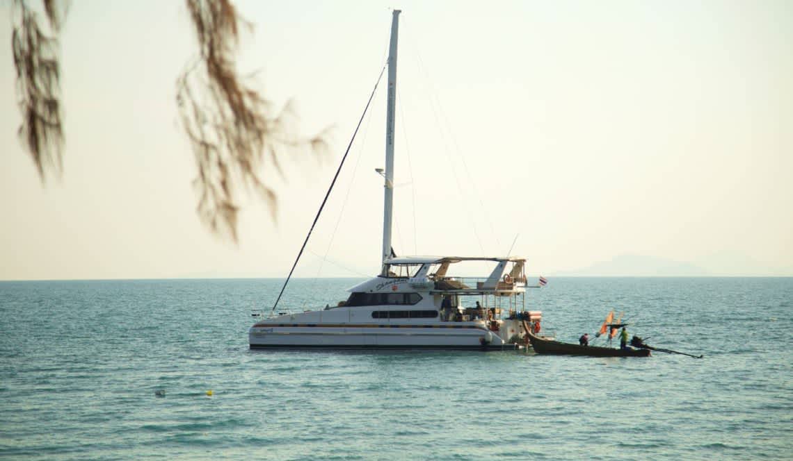 Cover of activity #5682