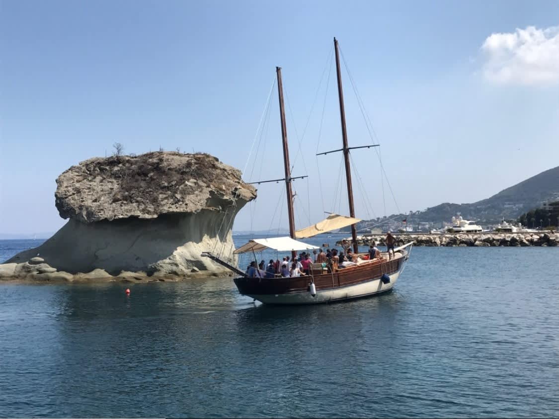 Cover of activity #21820