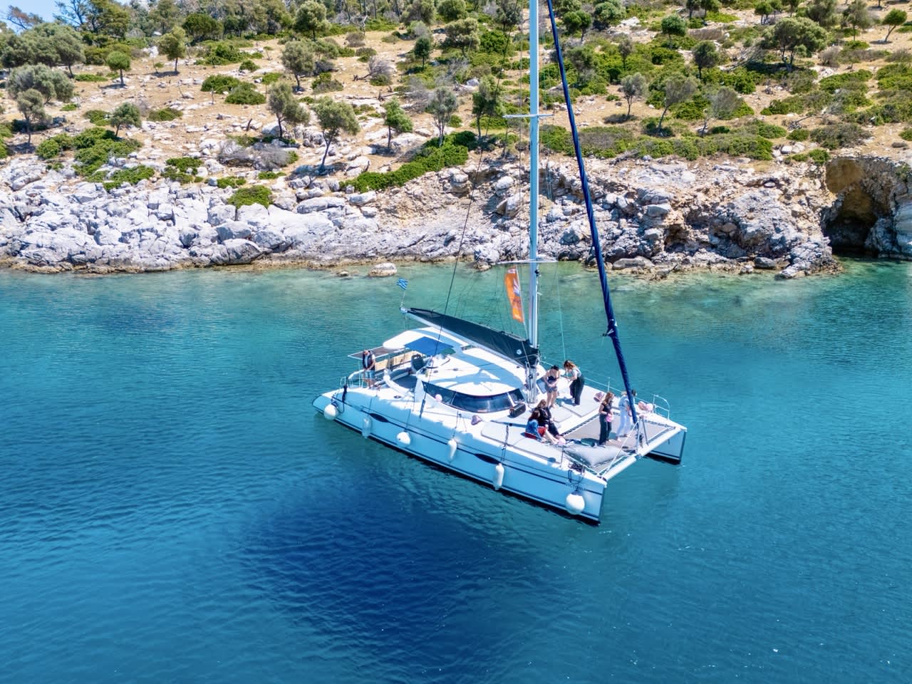 Cover of activity #19856