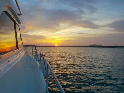 Cover of activity #3506