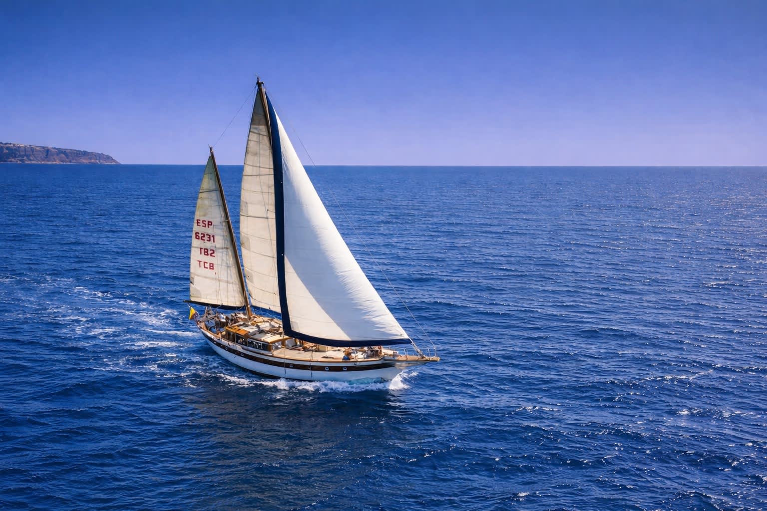 Cover of activity #22298