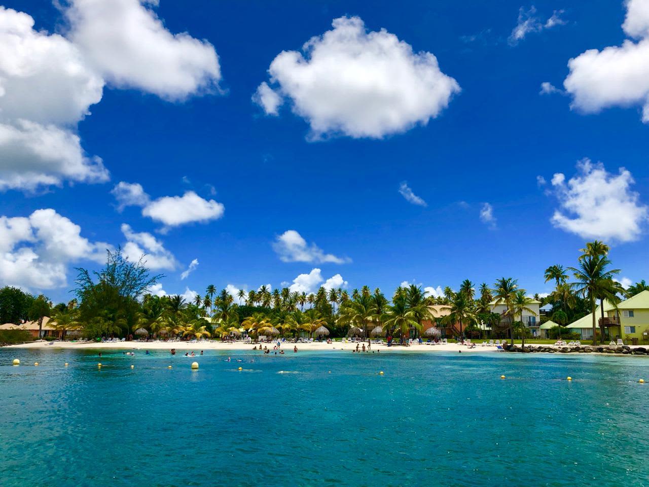 Cover of activity #21889