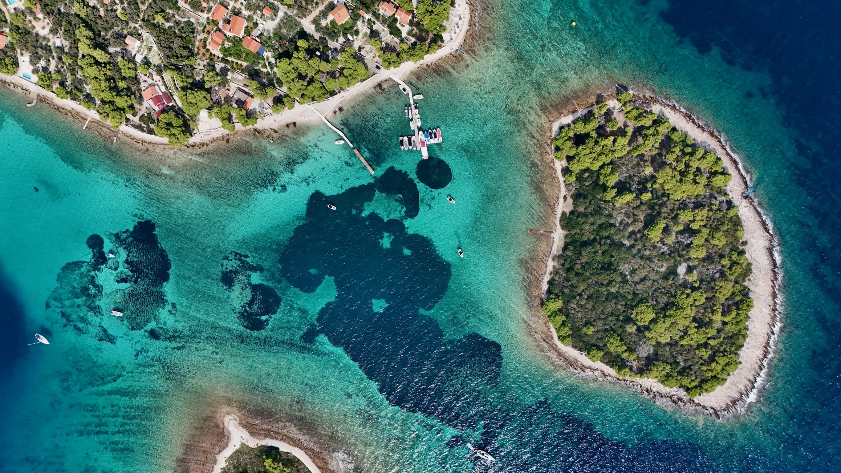 Cover of activity #15282