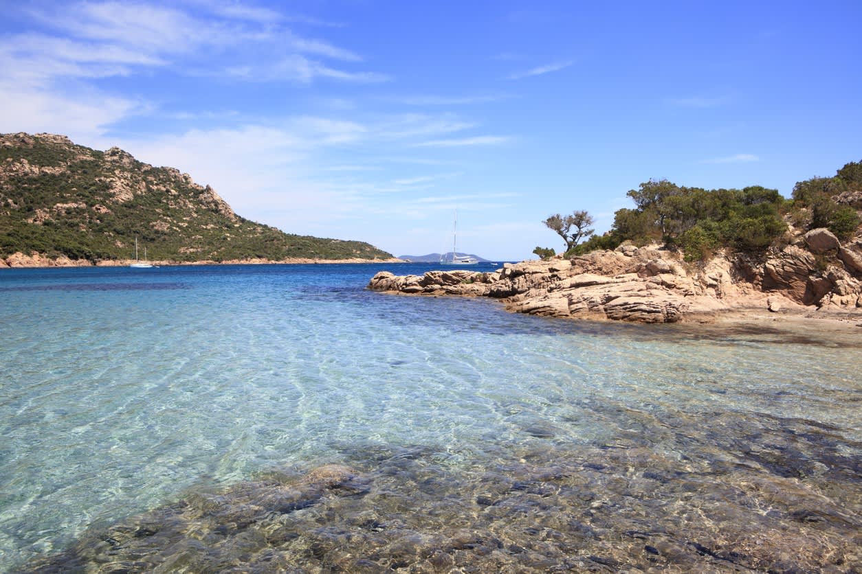 Cover of activity #15448