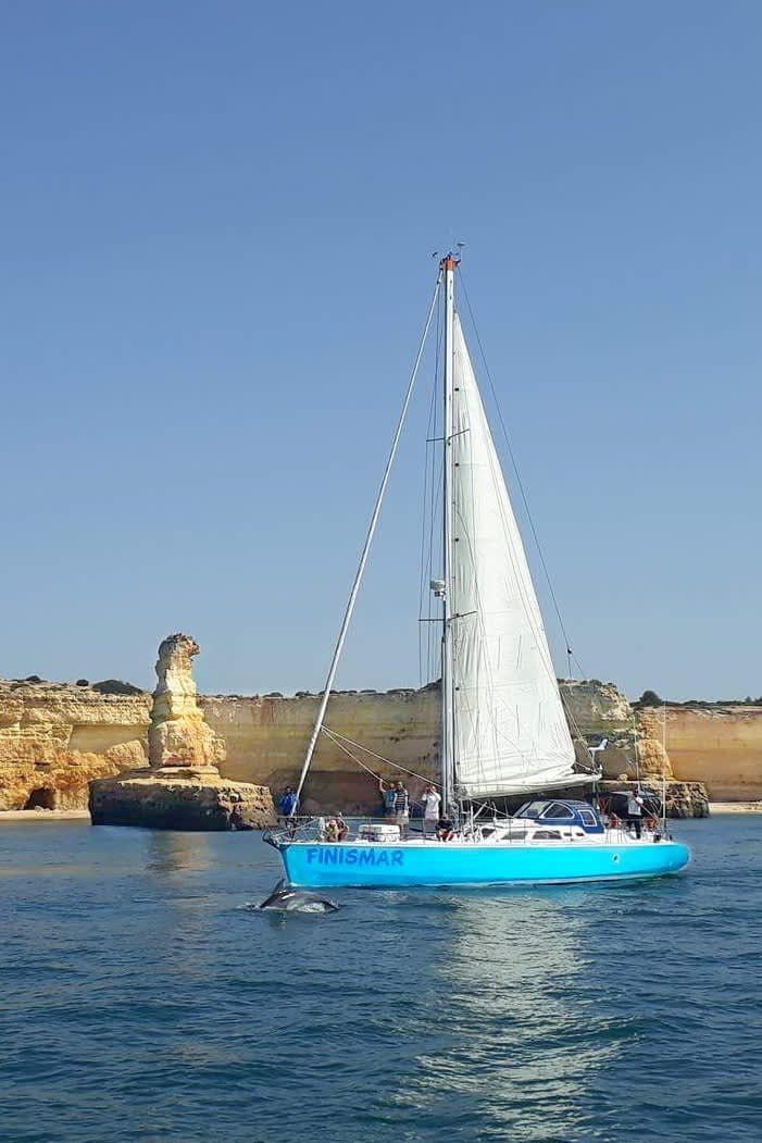 Cover of activity #21853