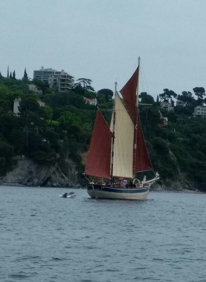 Cover of activity #21698