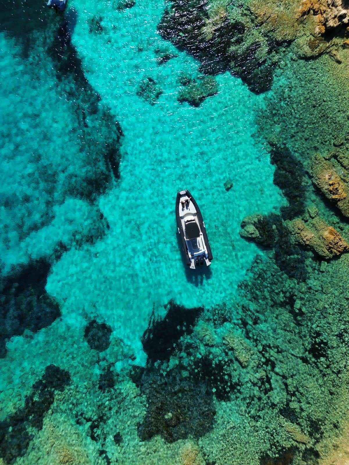 Cover of activity #3281