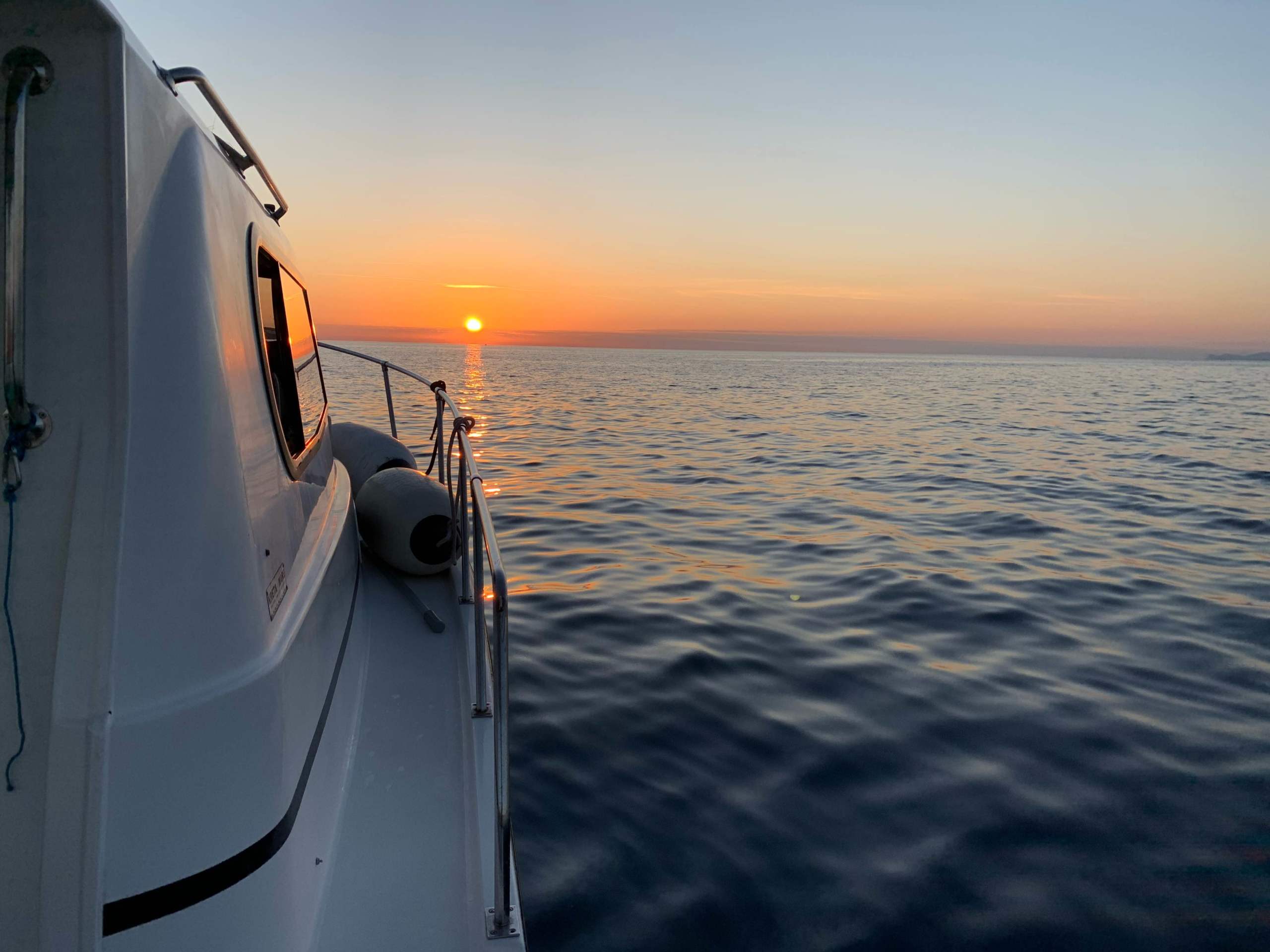 Cover of activity #21855