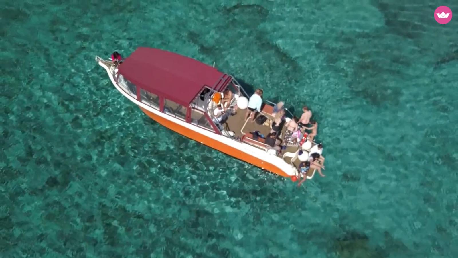 Cover of activity #11884