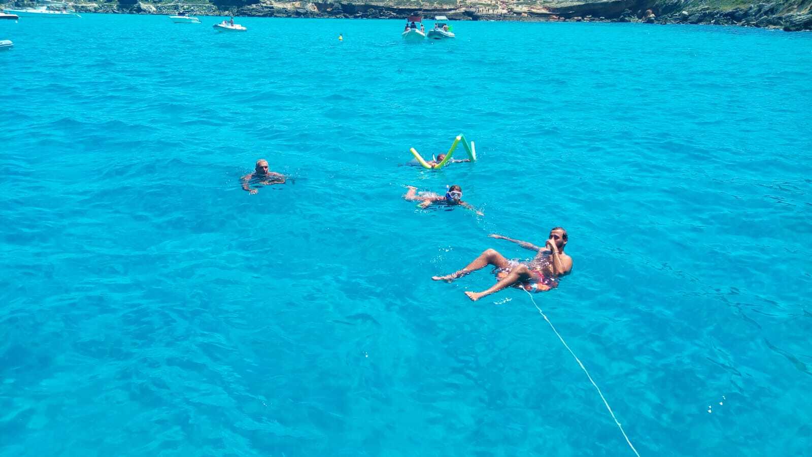 Cover of activity #22466