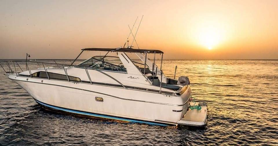 Cover of activity #21537