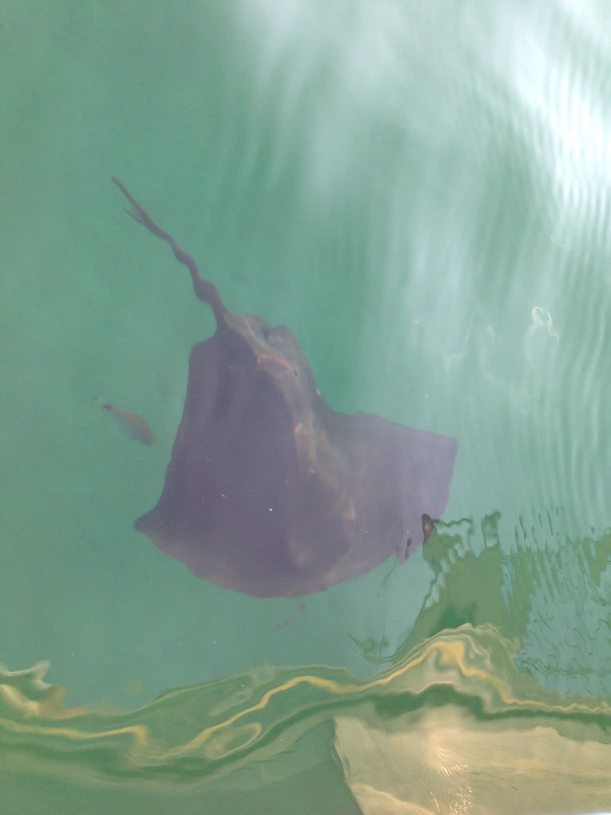 Cover of activity #21712