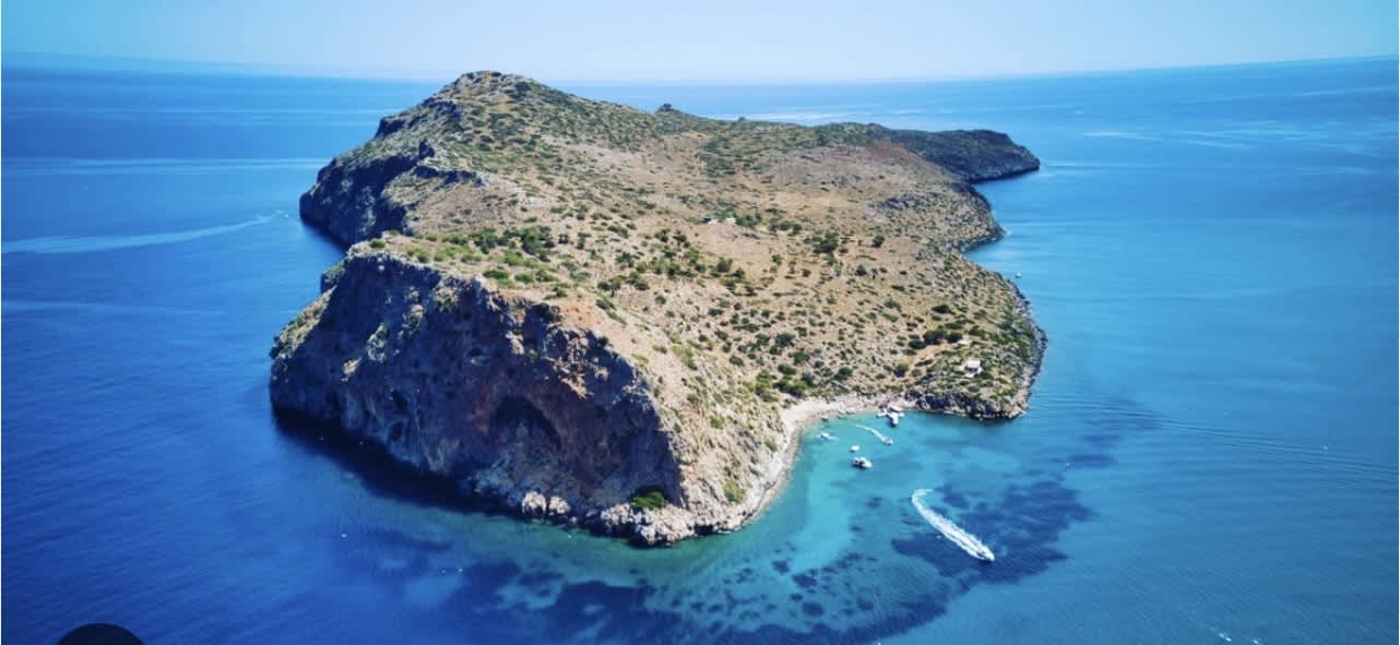 Cover of activity #1169