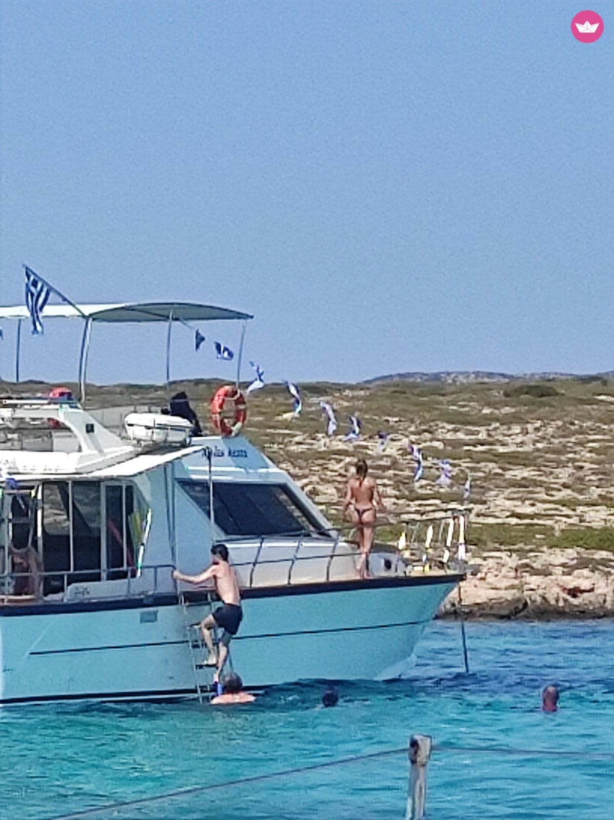 Cover of activity #19219