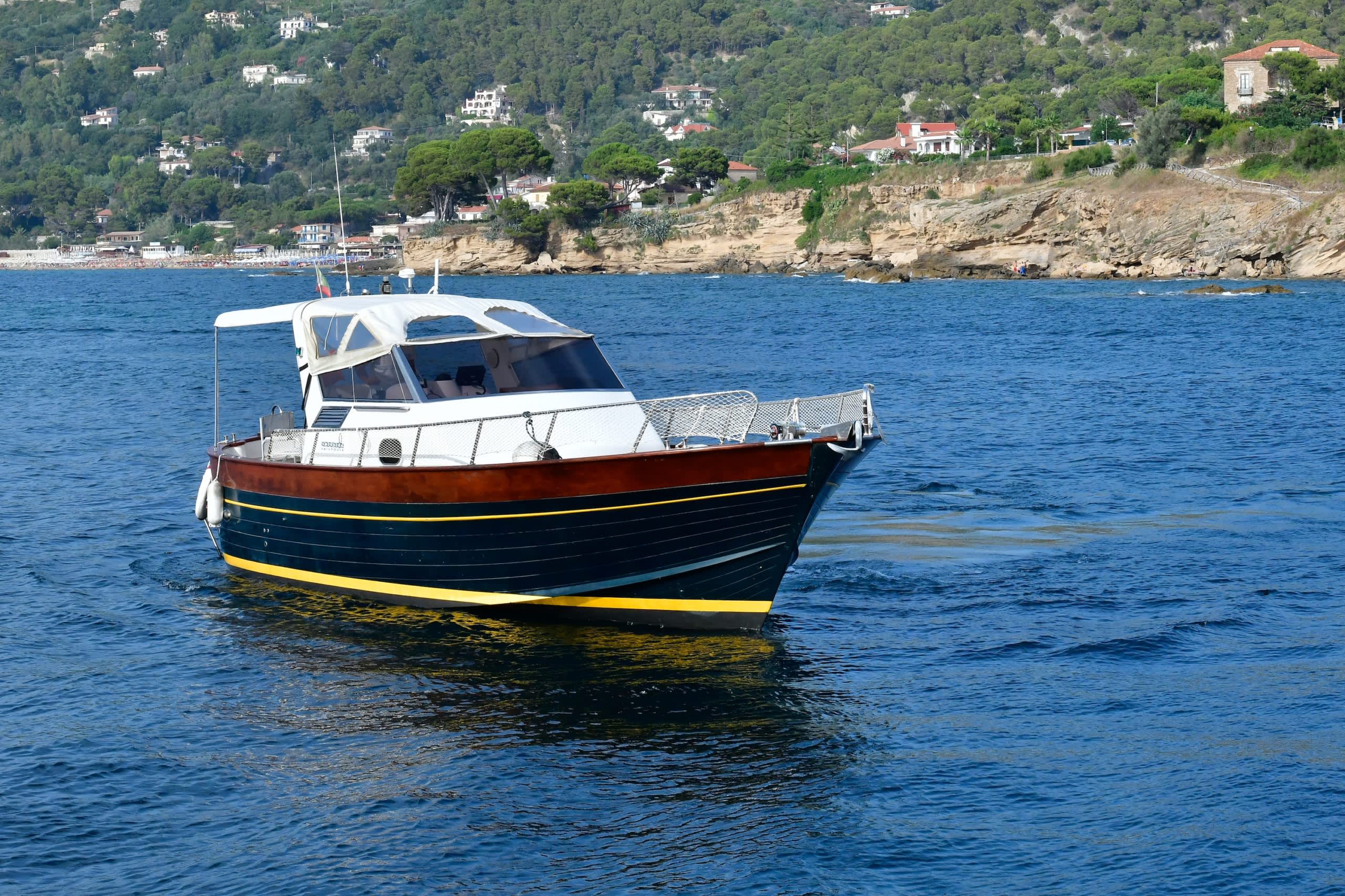 Cover of activity #21362