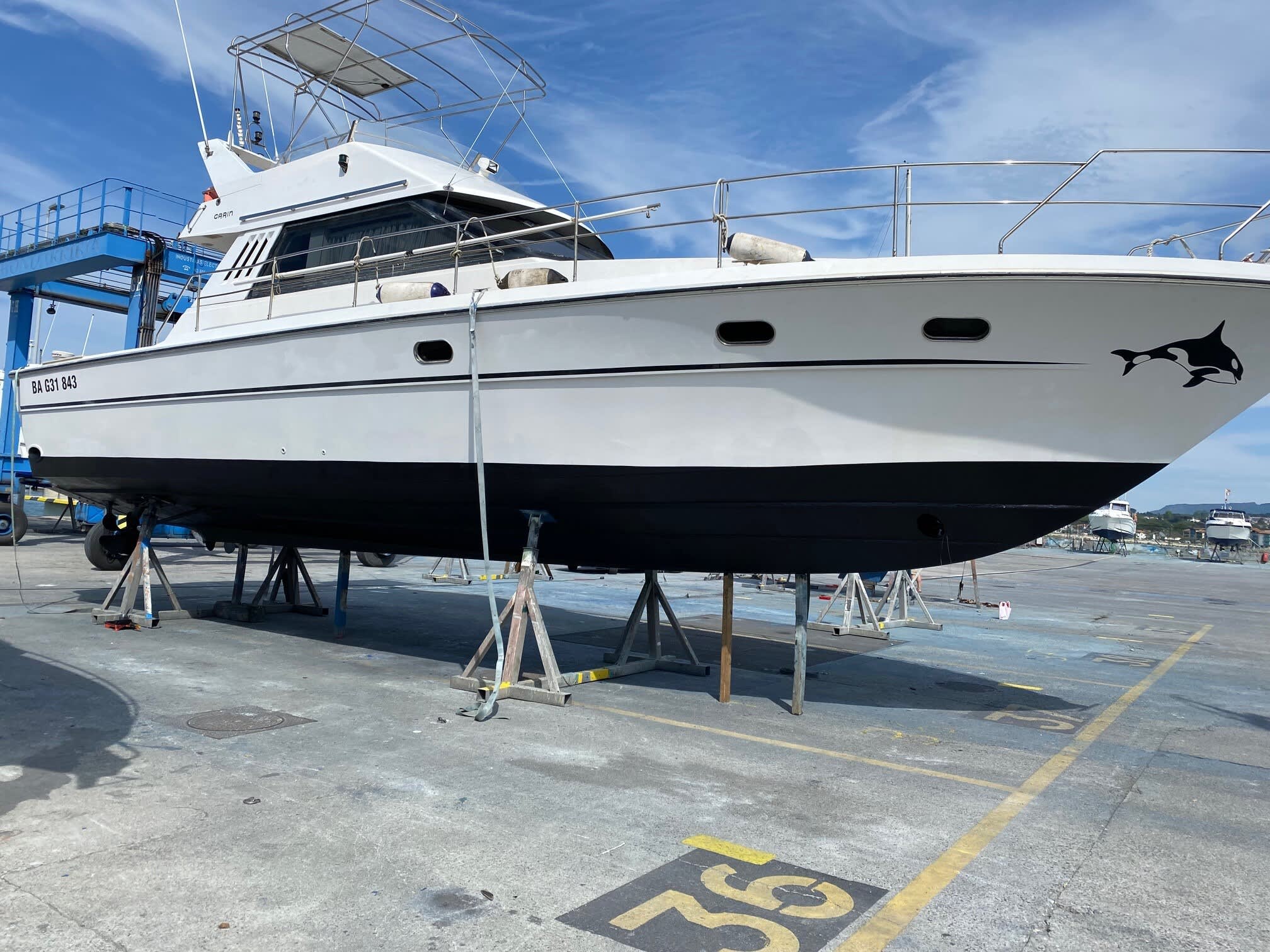 Cover of activity #22187