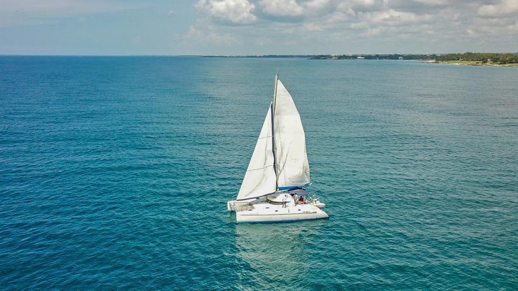 Cover of activity #22061