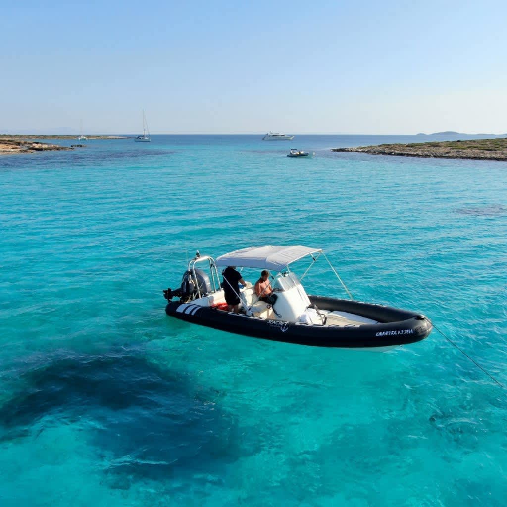 Cover of activity #21533