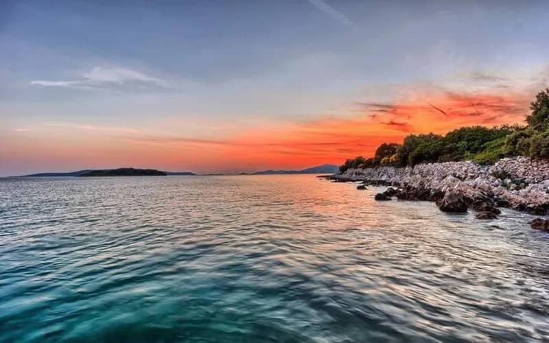 Cover of activity #6343