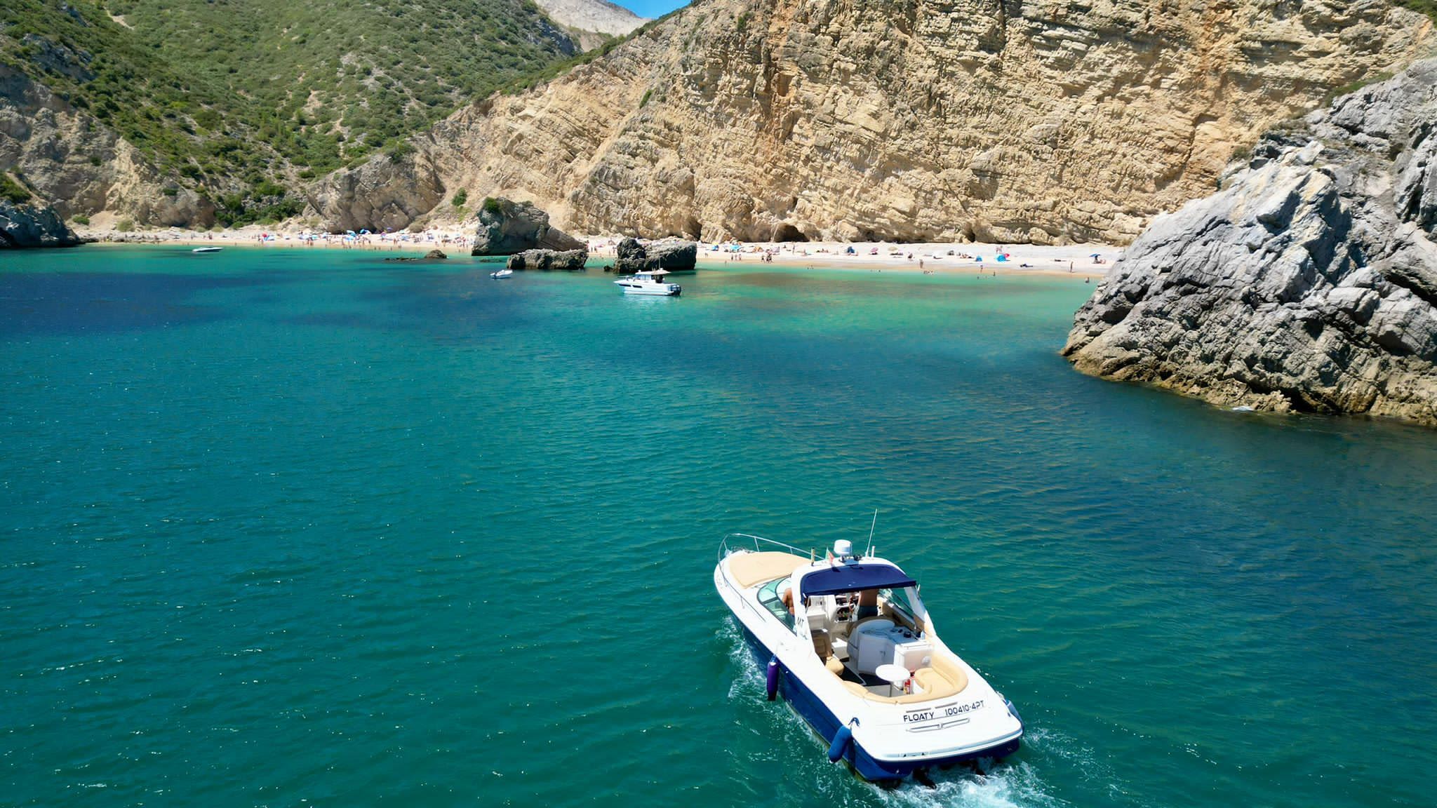 Cover of activity #22009