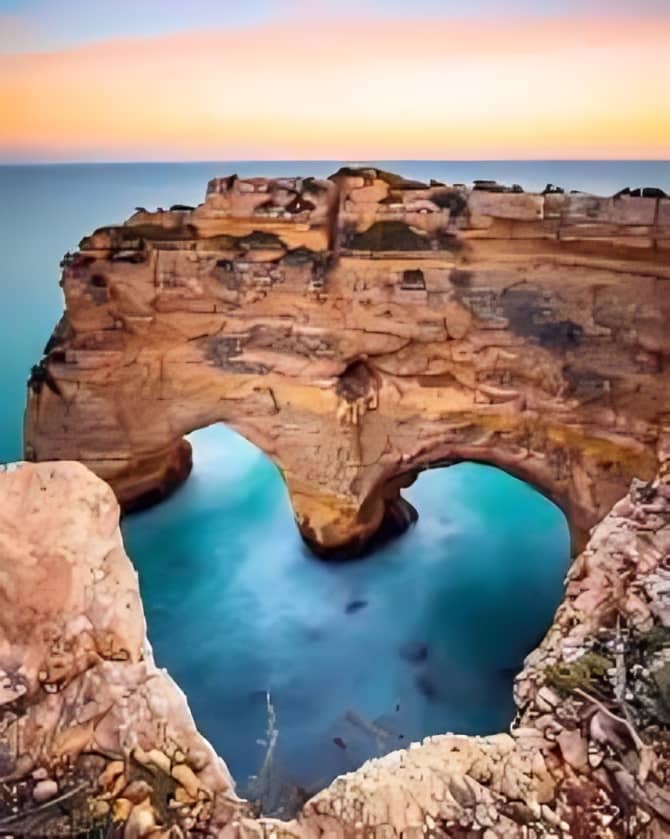 Cover of activity #2457