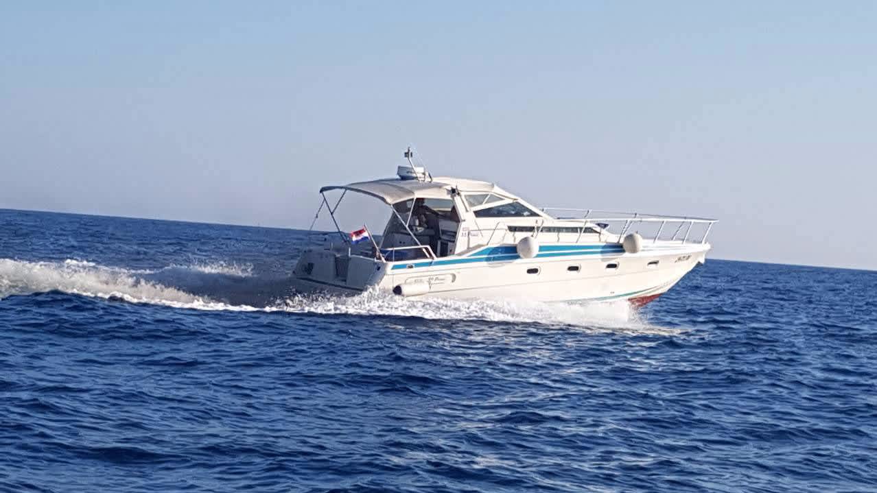 Cover of activity #22197