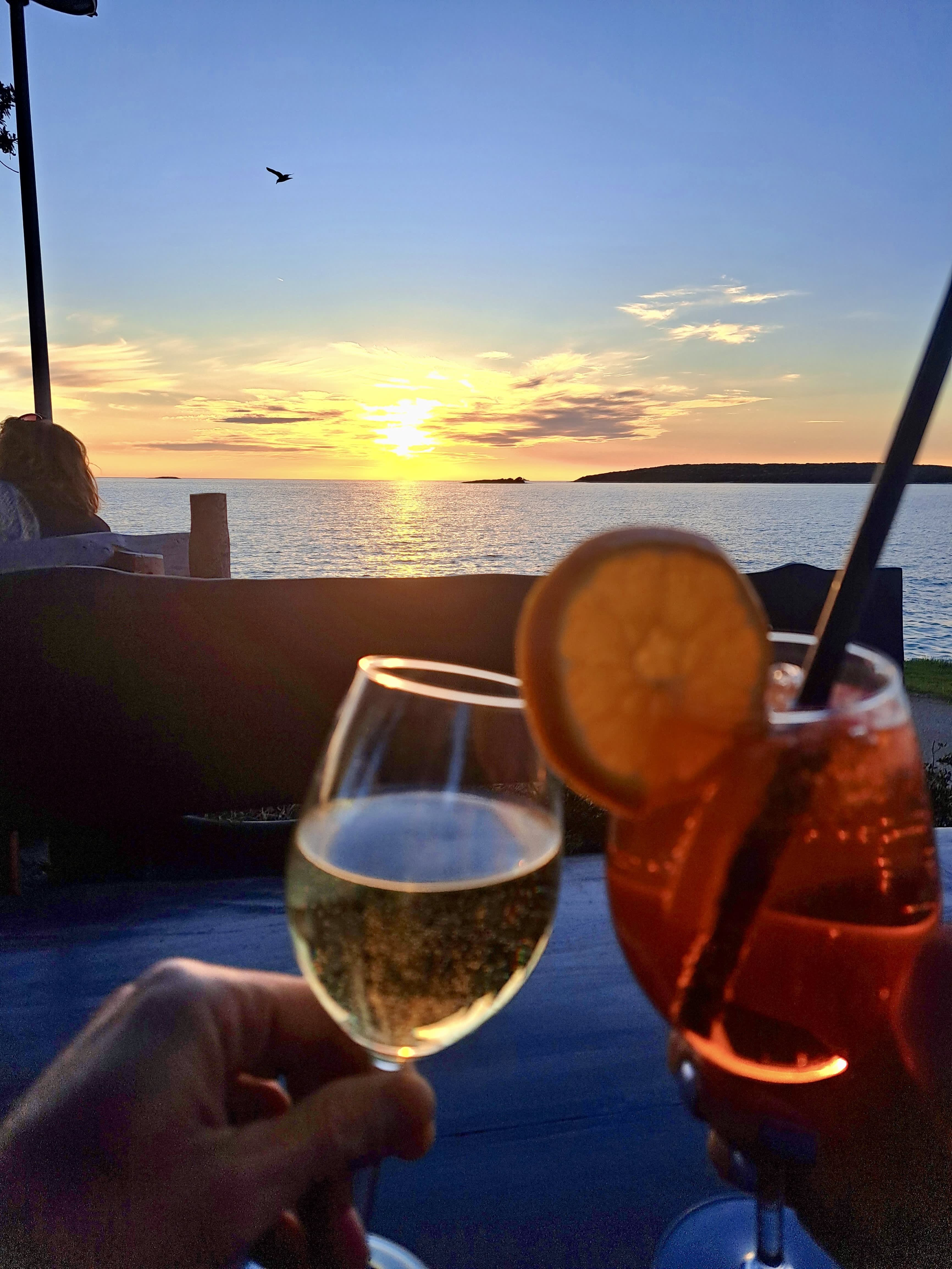 Cover of activity #7308