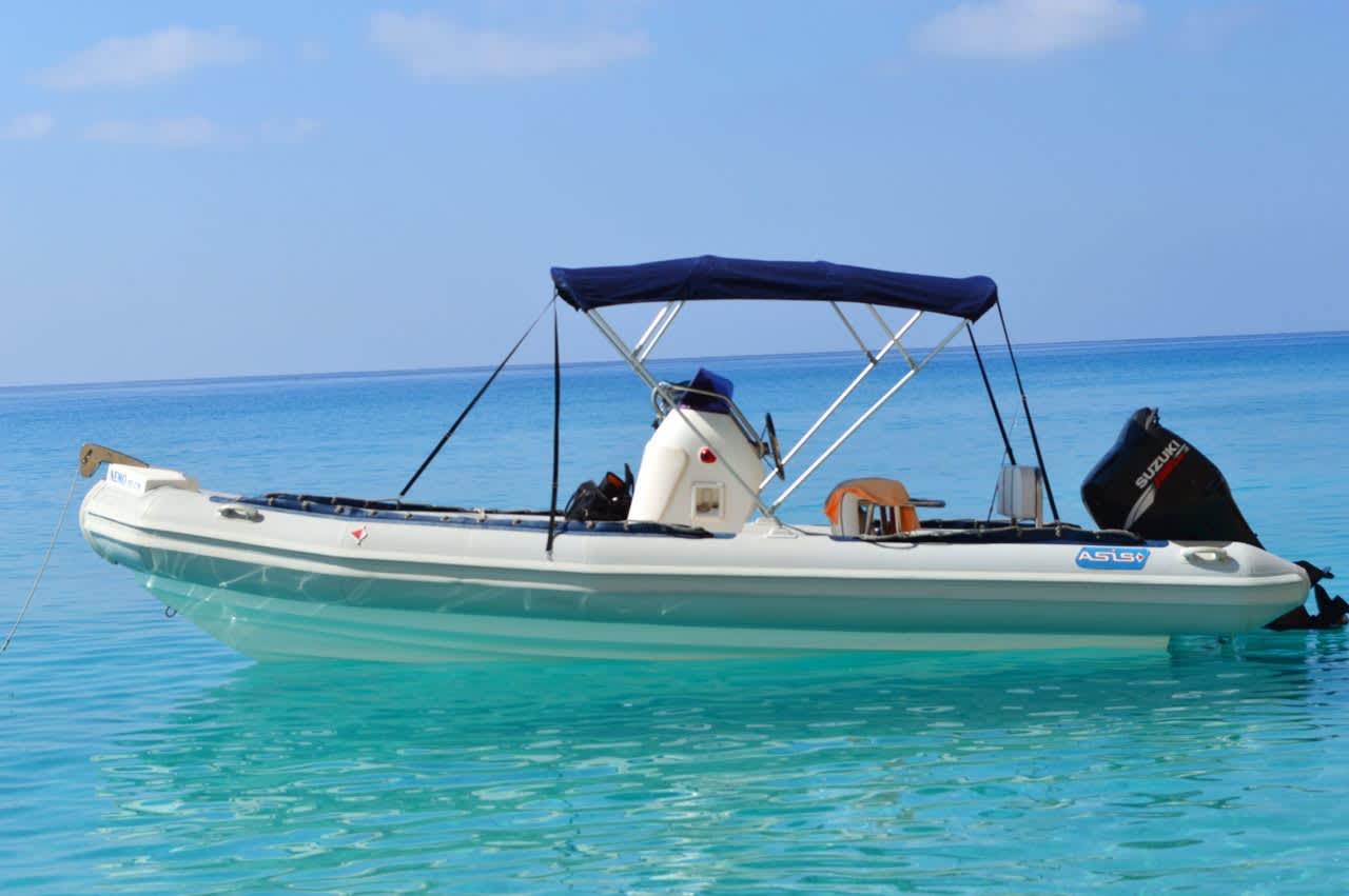 Cover of activity #22041