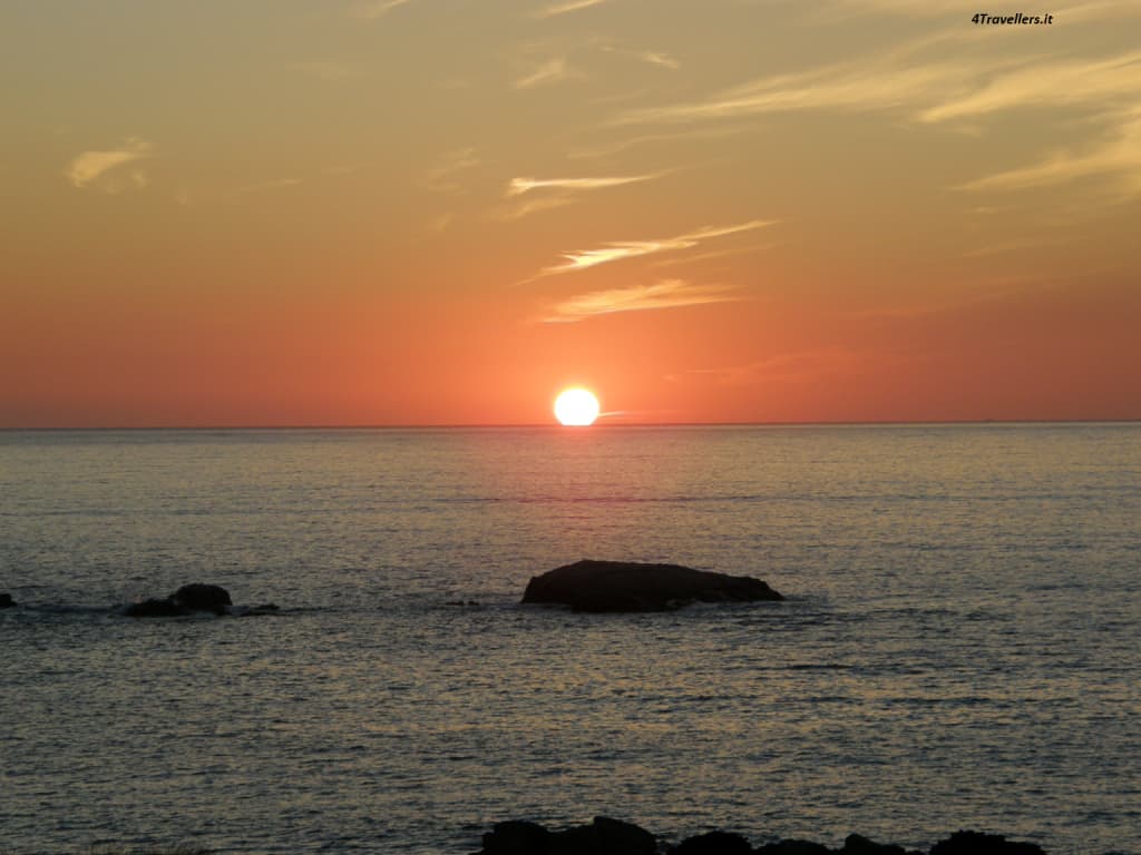 Cover of activity #13687