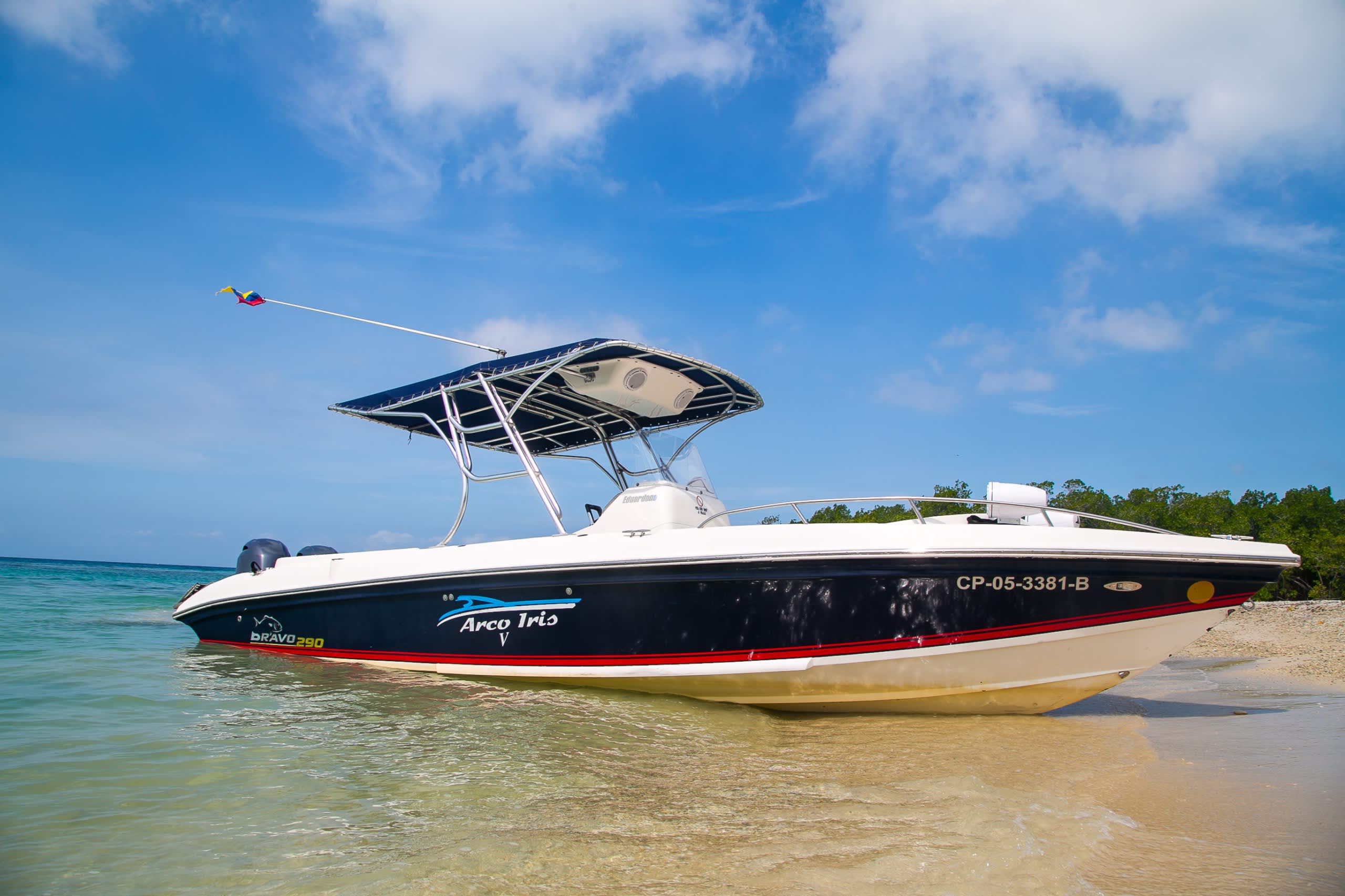 Cover of activity #21839