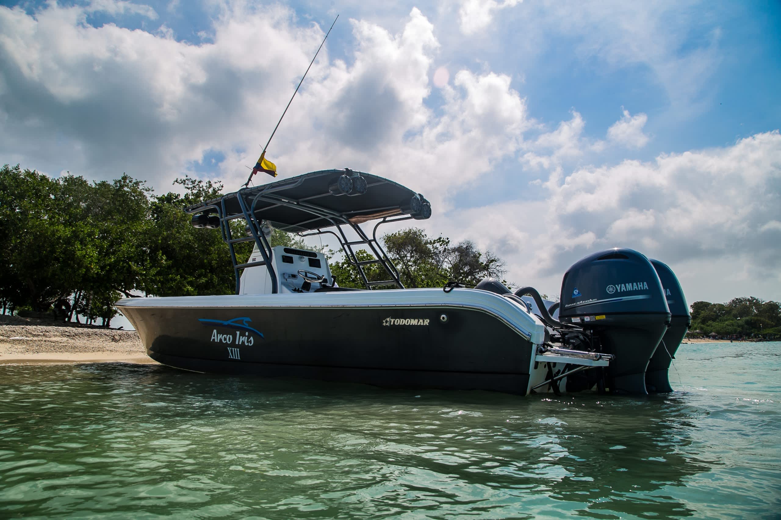 Cover of activity #22387