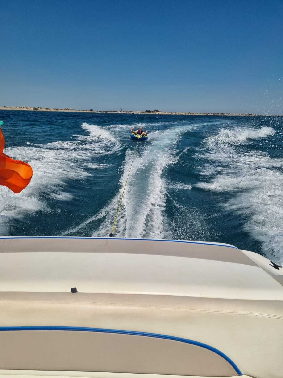 Cover of activity #21920