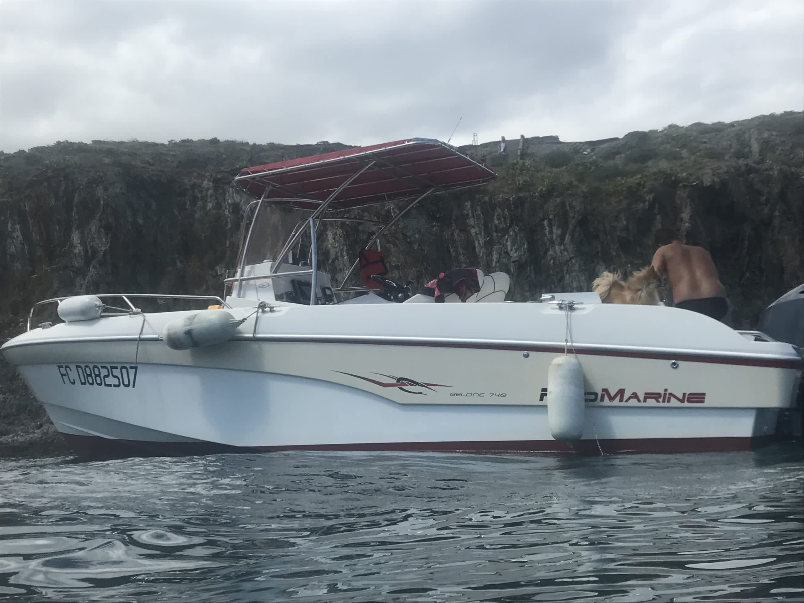 Cover of activity #22325