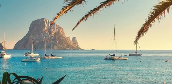 Cover of activity #3693